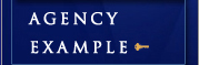 Agency example